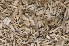 biomass boilers Gordonbush